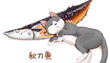   Щ꣬ڸеʳ