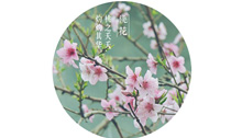ʫᵽʳʫ