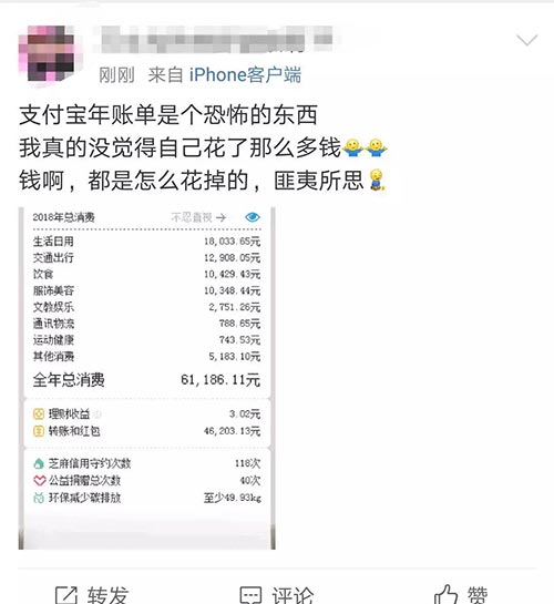 网友支付宝年账单 网友支付宝年账单