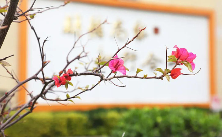 福建新东方烹饪学校