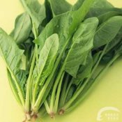 福州新东方厨师学校分享:每天都非吃不可的八种食物
