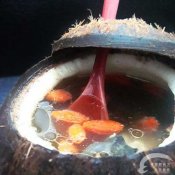 原盅椰子炖乌鸡—福州新东方厨师学校推荐菜谱