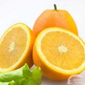 福州新东方厨师学校探秘:酸橙鲜为人知的4大神奇功效