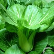 福州新东方厨师学校解密:11种天然健康的抗癌食物