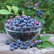 福州新东方厨师学校解密:10种不生病绝妙食物