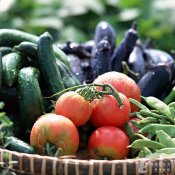 福州新东方厨师学校大食话:从颜色和味道来判定蔬果营养