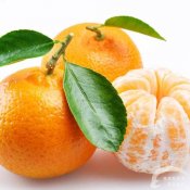 福州新东方厨师学校揭秘:秋季橘子上市 食用有5大禁忌