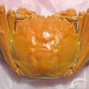 福州新东方厨师学校谈食论道:11种最为名贵的蟹