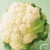福州新东方厨师学校揭秘:秋季不可或缺的7种蔬菜