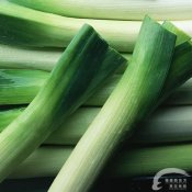 福州新东方厨师学校揭秘:十种美食让你病从口入