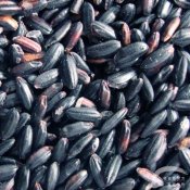 福州新东方厨师学校揭秘:中医养肾少不了五种黑食物