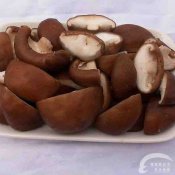 福州新东方厨师学校品味菇菌文化