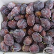 福州新东方厨师学校品味美食:西梅不只是零食