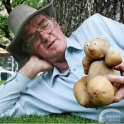 福州新东方厨师学校说食话:怪异蔬菜登堂入室