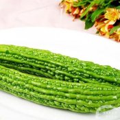 福州新东方厨师学校谈食说史:苦瓜与大画家