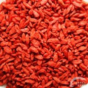 福州新东方厨师学校大食话:吃枸杞能解乏