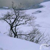 福州新东方厨师学校揭秘:持续低温谨防冻疮烫伤