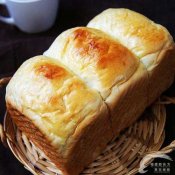 ˴ﳬ˾¶ʦѧУƼ