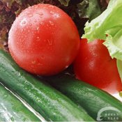 福州新东方厨师学校大食话:蔬菜混炒营养多