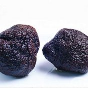 福州新东方厨师学校品美食:法国黑菌