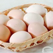 福州新东方厨师学校大食话:六种鸡蛋不能吃