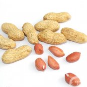 福州新东方厨师学校大食话:多食花生有助减肥