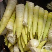 福州新东方厨师学校说食话:多吃笋可帮助消化