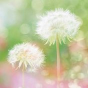 新东方厨师学校解析:春季多吃这些野菜可防癌