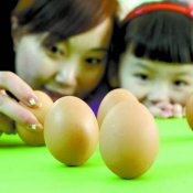新东方厨师培训学校食话:二十四节气之春分的习俗