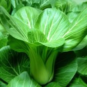 新东方厨师培训学校揭秘:春季应如何预防食物中毒
