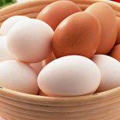 新东方厨师培训学校食话:各国吃鸡蛋的奇风异俗
