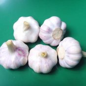 新东方厨师培训学校解析:怎么吃蒜价值高?