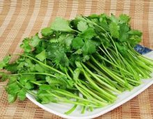 厦门烹饪学校分享:让香菜的鲜嫩保持更久的小窍门