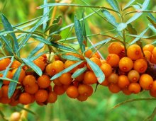 福州烹饪学校解析:增强免疫力的食物有哪些?