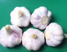 漳州烹饪学校解读:春天要常吃3种健康蔬菜
