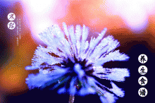 ¶ʳ