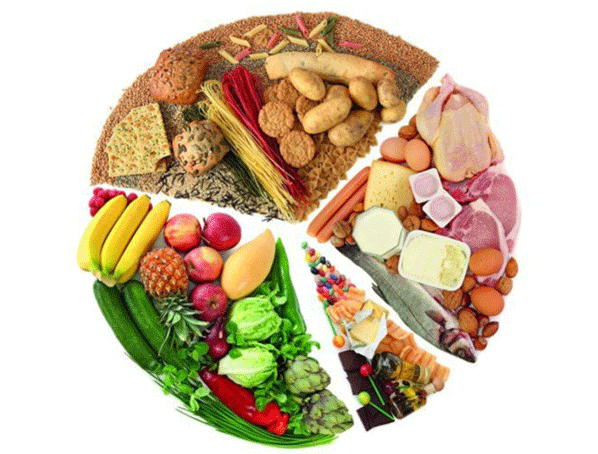 青运会期间，运动员该吃些什么?_福建新东方烹饪学校官方网站_新东方厨师学校_厨师培训_学厨师_烹饪学校_中国烹饪教育第一品牌