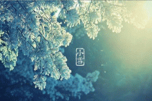 ѩˣơľȻ.....