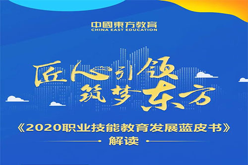 һͼ2020ְҵܽչƤ顷