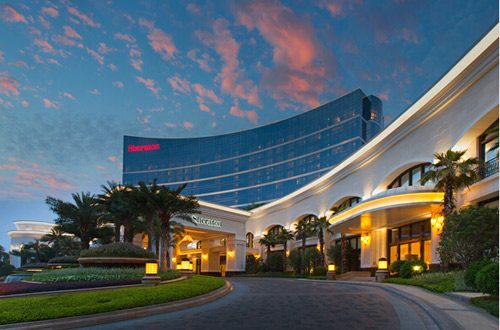 �����¶�����ʦѧУ